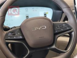 بي واي دي سونغ بلس